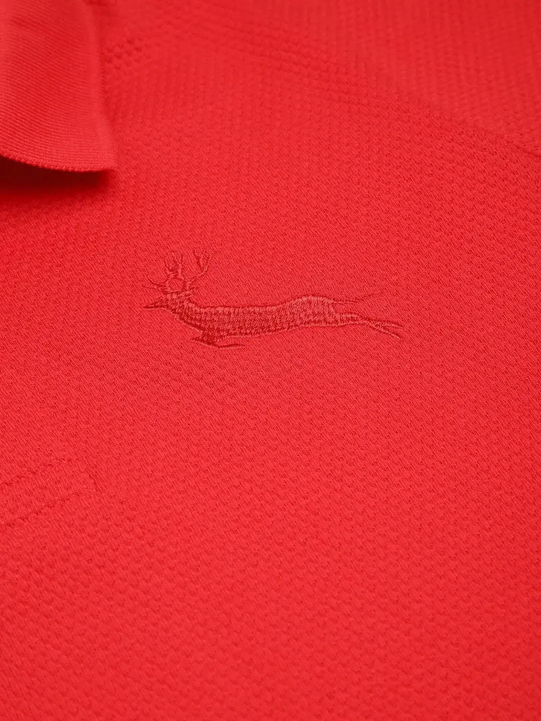 Kids Red Half Sleeves Cotton Polo T-shirt