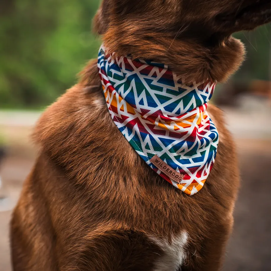 Rainbow Cooling Bandana