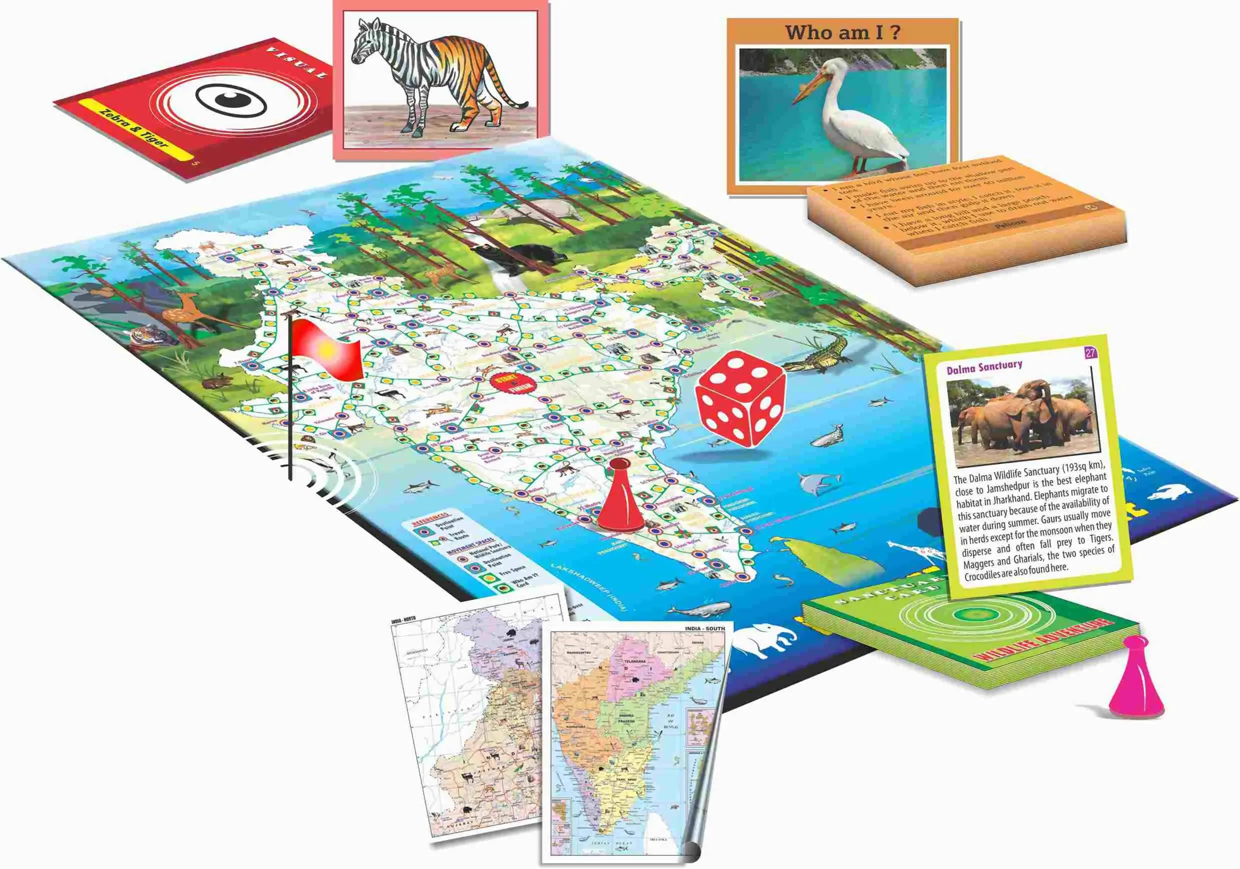 Wildlife Adventure